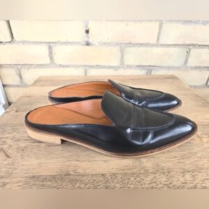 Everlane Pointed Slides